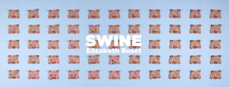 Swine exhibition banner image